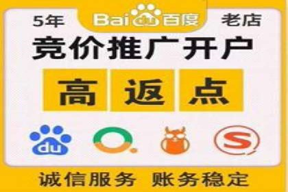 SEM代理服务：提升广告投放效果